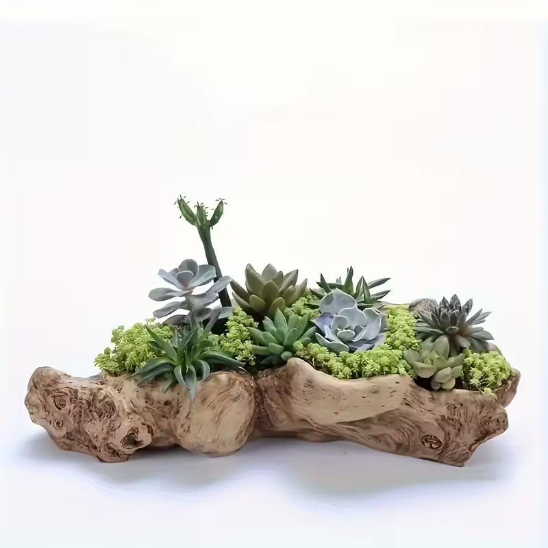 pot résine design irrégulier pour plantes d’intérieur